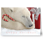 Polar Bear Personalized Holiday Card